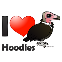 I Love Hoodies
