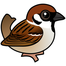 Eurasian Tree Sparrow
