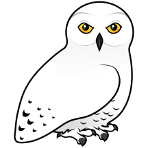 Snowy Owl