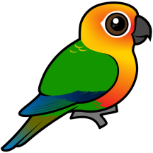 Jandaya Parakeet