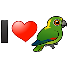 I Love Yellow-naped Amazons