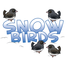 Snow Birds