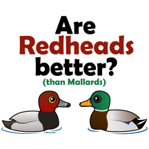 Are Redheads Better?