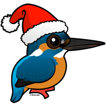 Santa Common Kingfisher