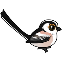 Long-tailed Tit