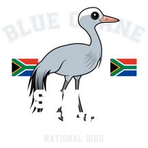 Blue Crane of South Africa
