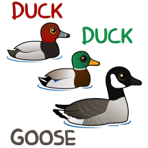 Duck Duck Goose