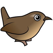 Winter Wren