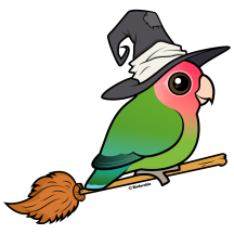 Peach-faced Witch! Fun Halloween Parrot Bird
