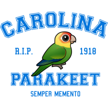 Team Parakeet