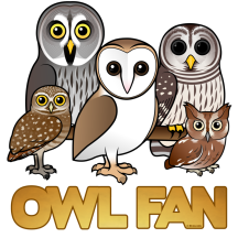 Owl Fan