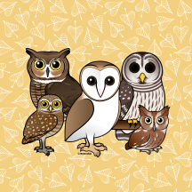 Five Different Birdorable Cartoon Owls
