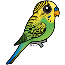 Customizable Green Budgie