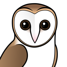 Owls