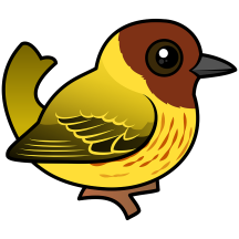 Mangrove Warbler