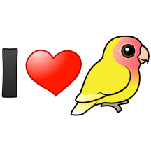 I Love Lutino Peach-faced Lovebirds