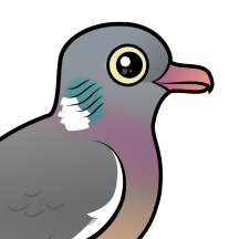 Pigeons & Doves