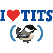 I Love Tits (BCCH)