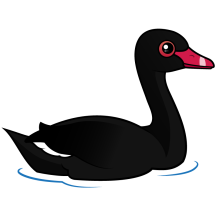 Black Swan