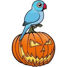 Blue Indian Ringneck Halloween