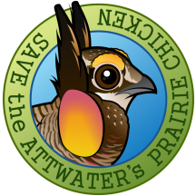 Save the Attwater's Prairie-Chicken