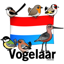 Dutch Birder: Vogelaar