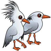 Kagu Pair