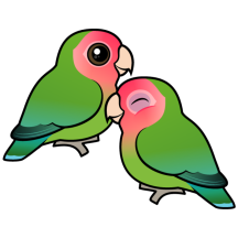 Peach-faced Lovebird Adorable Pair