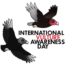 International Vulture Awareness Day