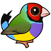 Gouldian Finch