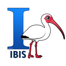 I is for Ibis