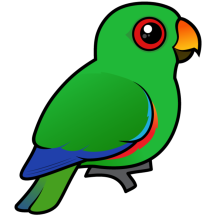 Customizable Male Eclectus Parrot