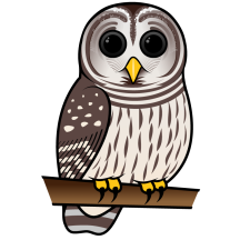Barred Owl