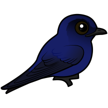 Birdorable Purple Martin