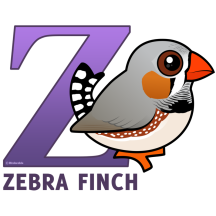 Z is for Zebra Finch