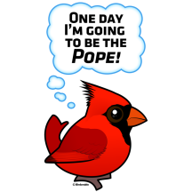 One day I'm going to be the Pope!