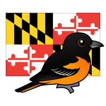 State Birdorable of Maryland: Baltimore Oriole
