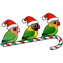 Lovebird Candy Cane