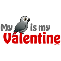 My African Grey Is My Valentine