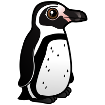 Humboldt Penguin