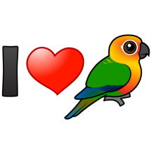 I Love Jenday Conures