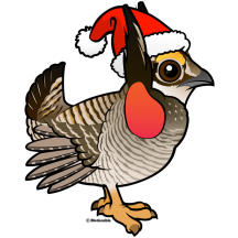 Santa Lesser Prairie-Chicken