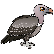 Rueppell's Vulture