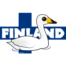 Whooper Swan of Finland