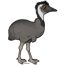Emu
