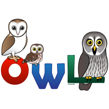 Colorful Owl