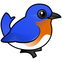 Eastern Bluebird
