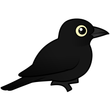 Rusty Blackbird