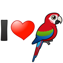 I Love Green-winged Macaws