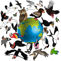 Birdorables Around The Earth
